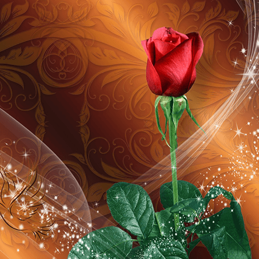 Roses Live Wallpaper