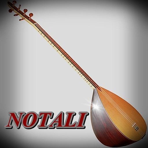 Virtual Baglama With Notes