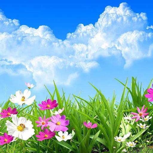 Flower Spring Live Wallpaper