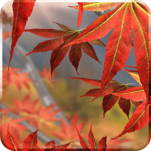 Autumn Tree Free Wallpaper