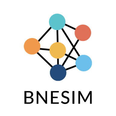 BNESIM: eSIM card, Mobile Data