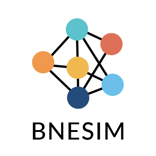 BNESIM: eSIM card, Mobile Data