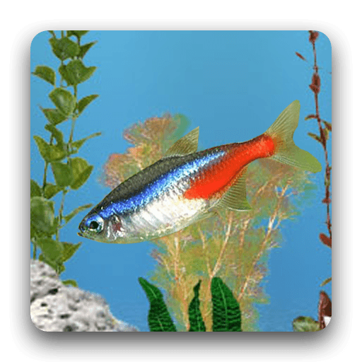 aniPet Freshwater Live WP