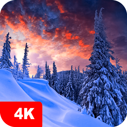 Winter Wallpapers 4K