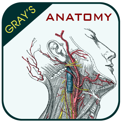 Gray's Anatomy - Anatomy Atlas