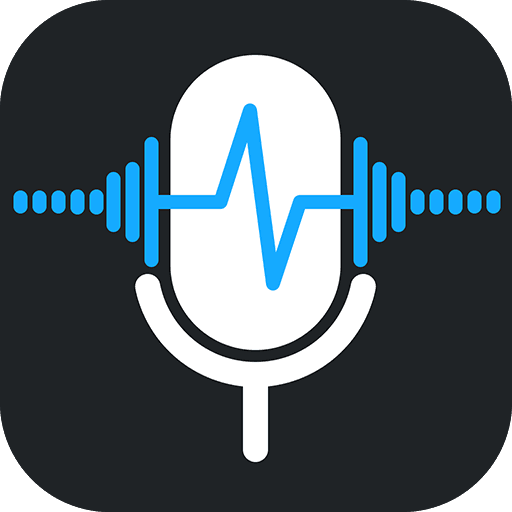 Voice Recorder Audio Sound MP3