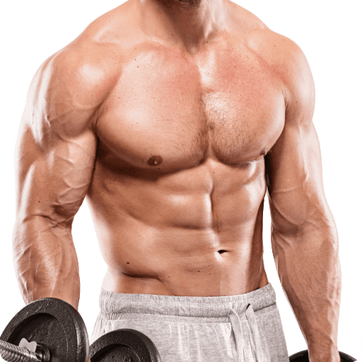 Pro Home Workouts – No Equipme