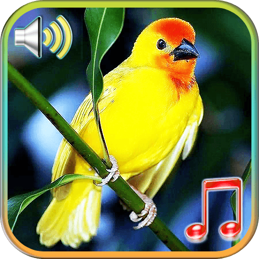 Birds Sounds Ringtones