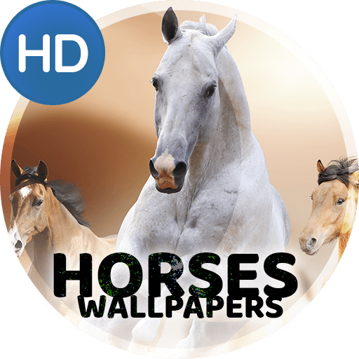 Wallpapers 4K with horses