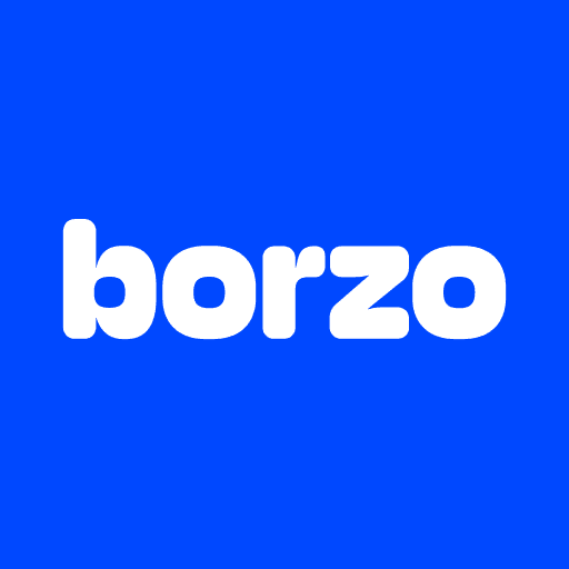 Borzo Delivery Partner Job