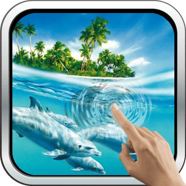 Magic Touch: Dolphins
