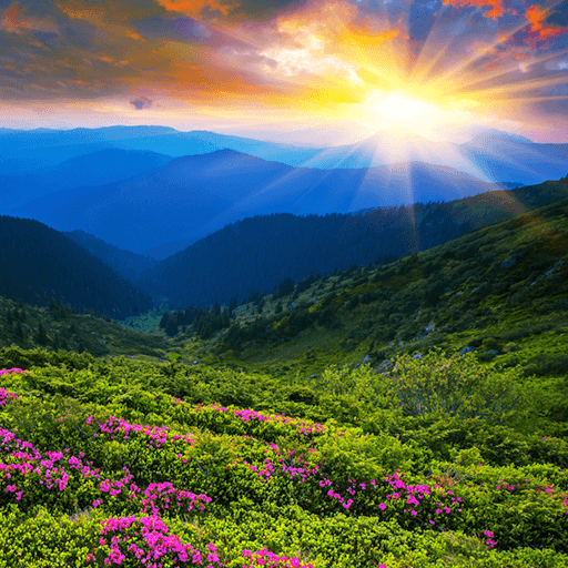 Nature HD Wallpapers